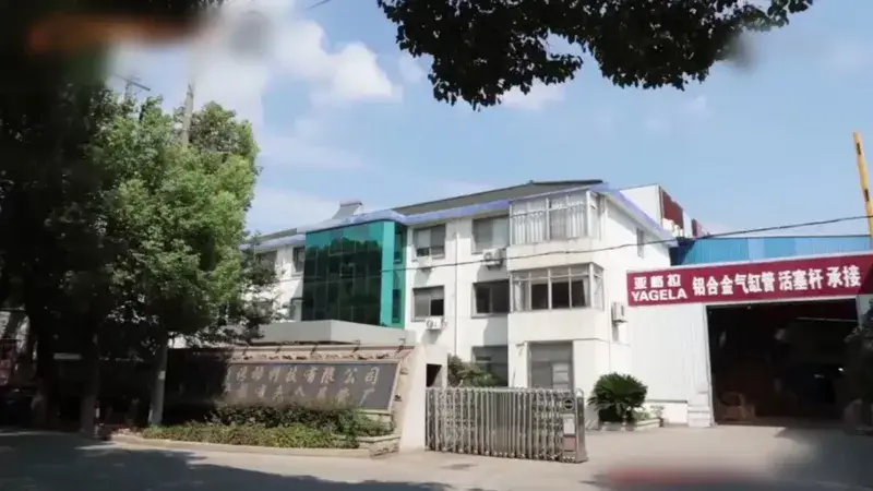 Acerca de la empresa